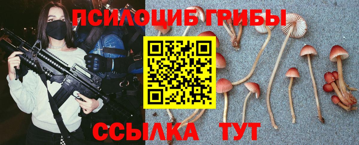 Галлюциногенные грибы Cubensis Кудрово